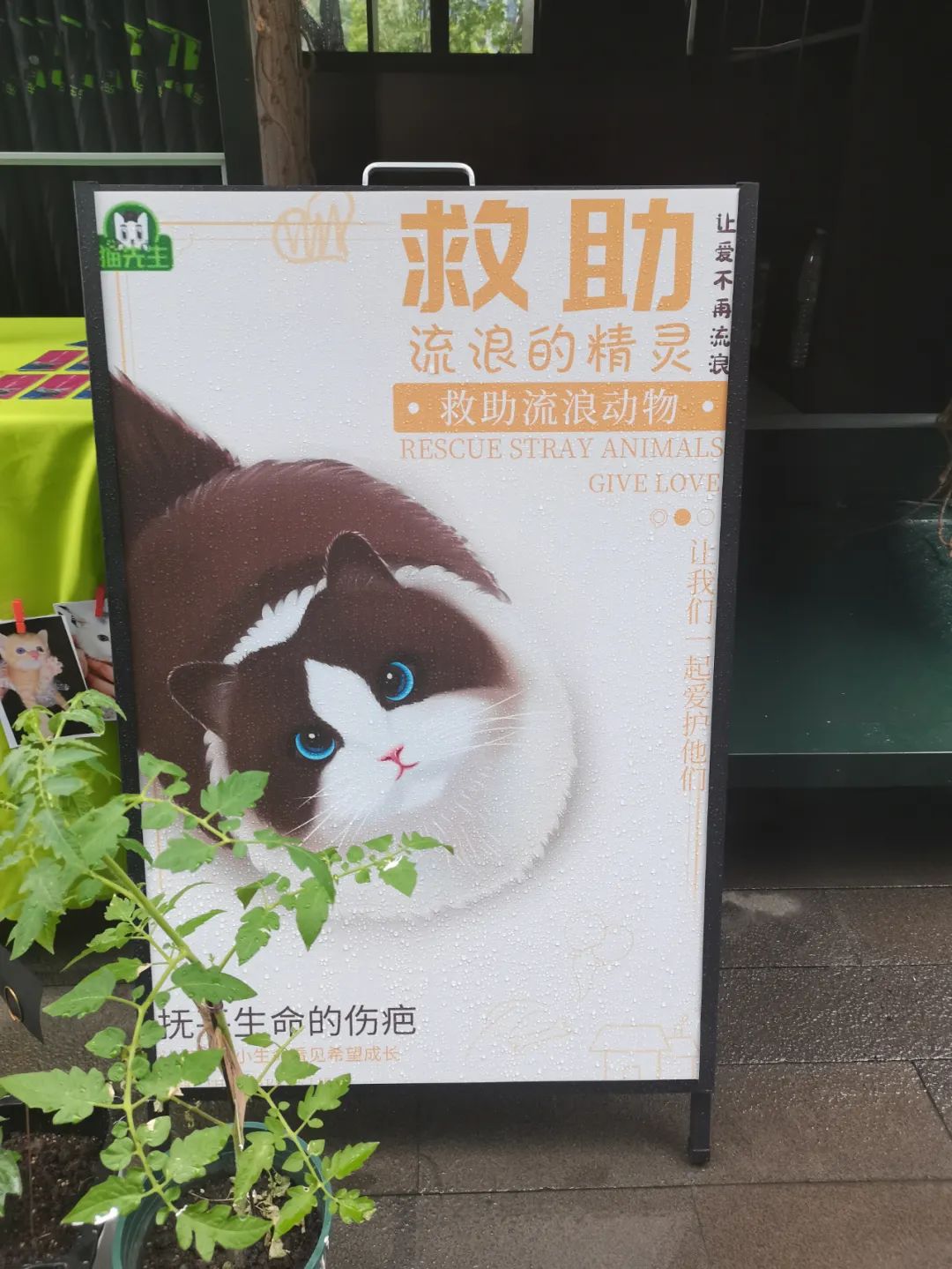 1661505449286665.jpg 垃圾分類運營方案、智能分類設備廠家.jpg